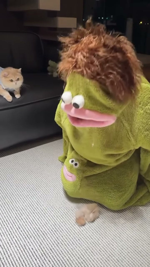 🧸 きぐるみ